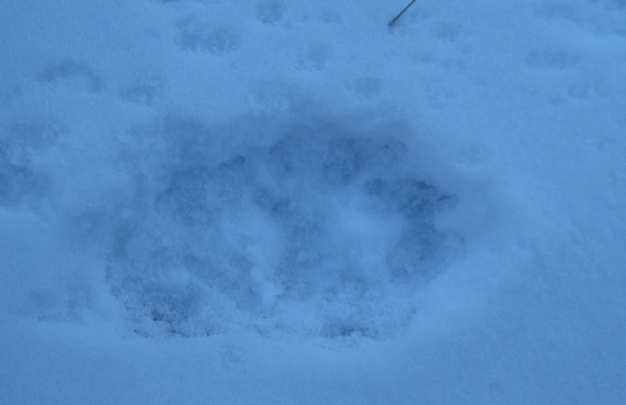 Мужик сказал-мужик сделал часть 2 или Тофаларская петля братьей Крайновых