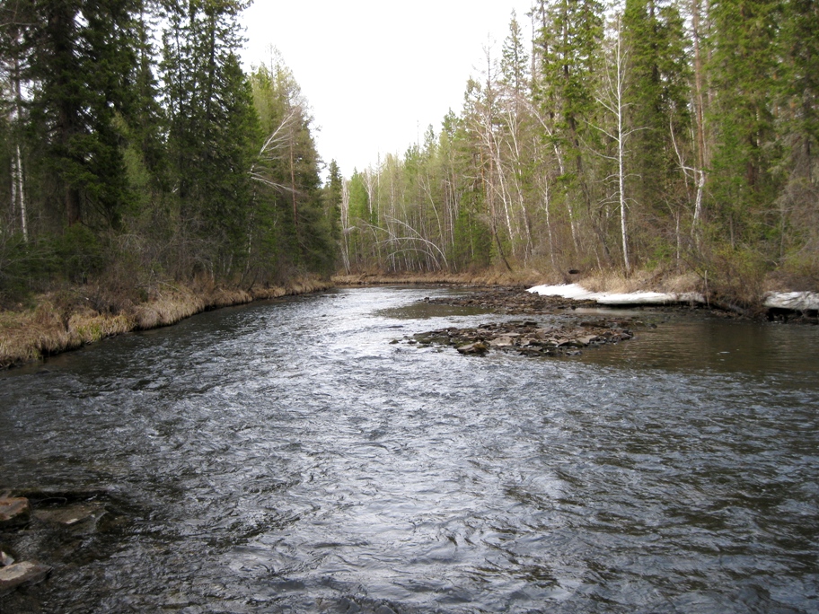 Голоустная 2014