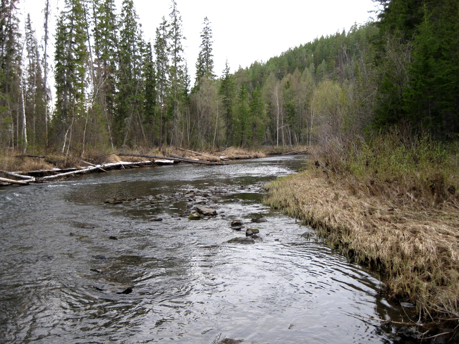 Голоустная 2014