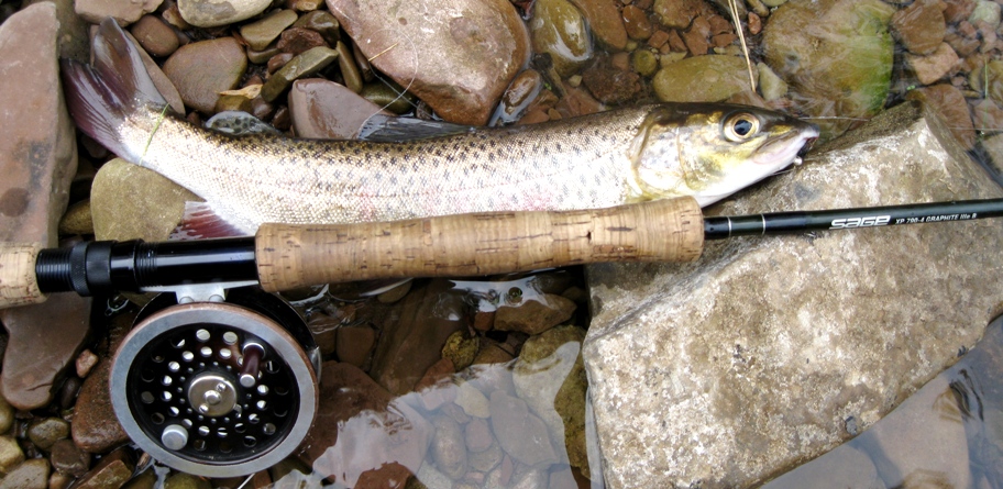 Авантюристы