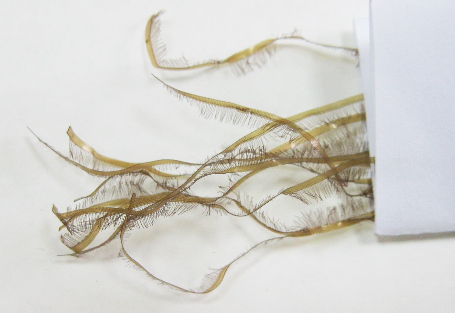 Новости магазина Перекат