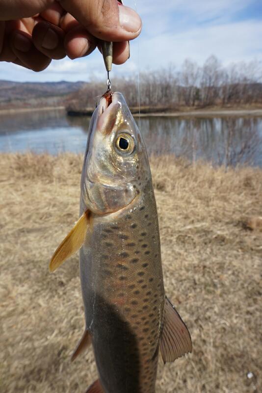 Рыбалка на р. Иркут и его притоках