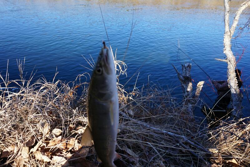 Рыбалка на р. Иркут и его притоках