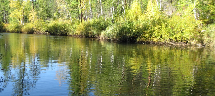 Таежные речки 2016