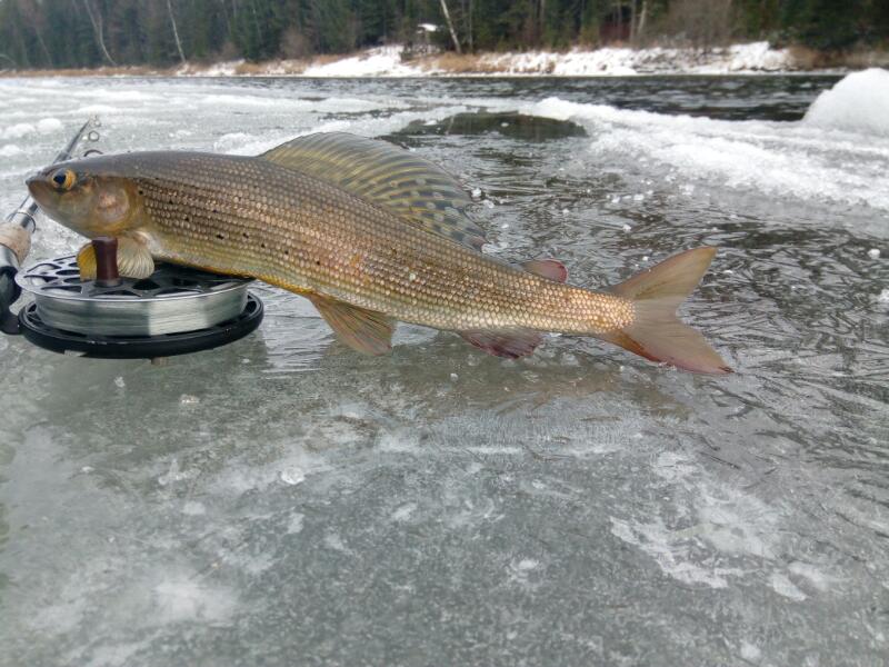 Малые речки