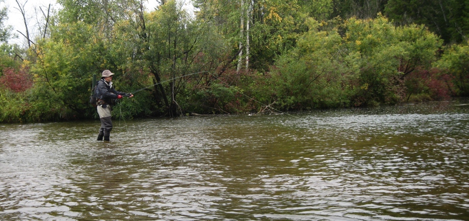 Авантюристы