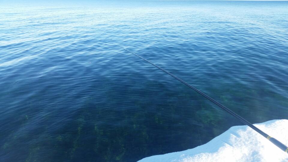 Флудим здесь