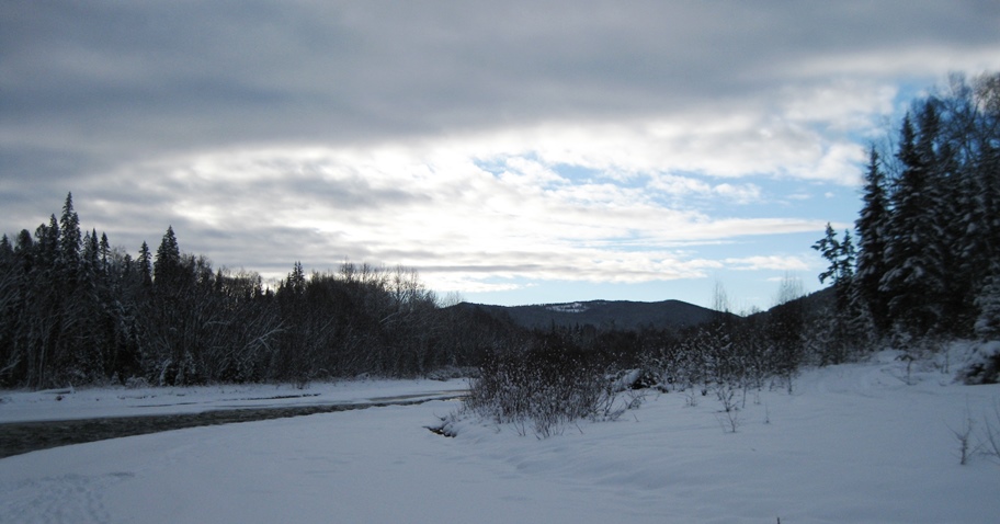 Река Белая и её притоки.