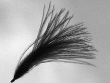 Tying with CDC, Hans Weilenmann