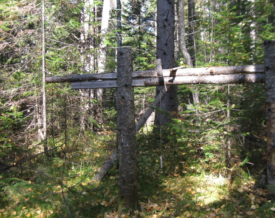 Таежные речки 2016