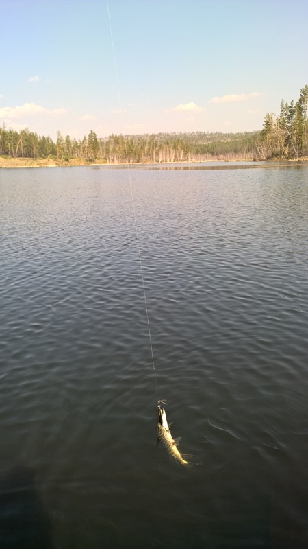 Озеро возле д. Усть-Балей
