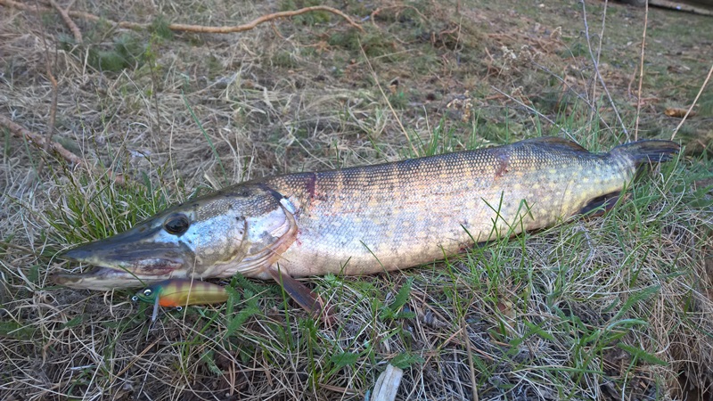 Озеро возле д. Усть-Балей