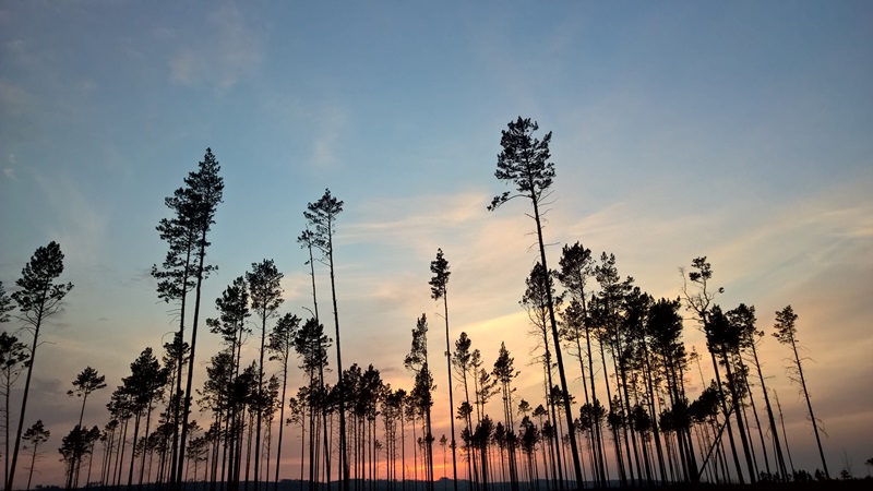Озеро возле д. Усть-Балей