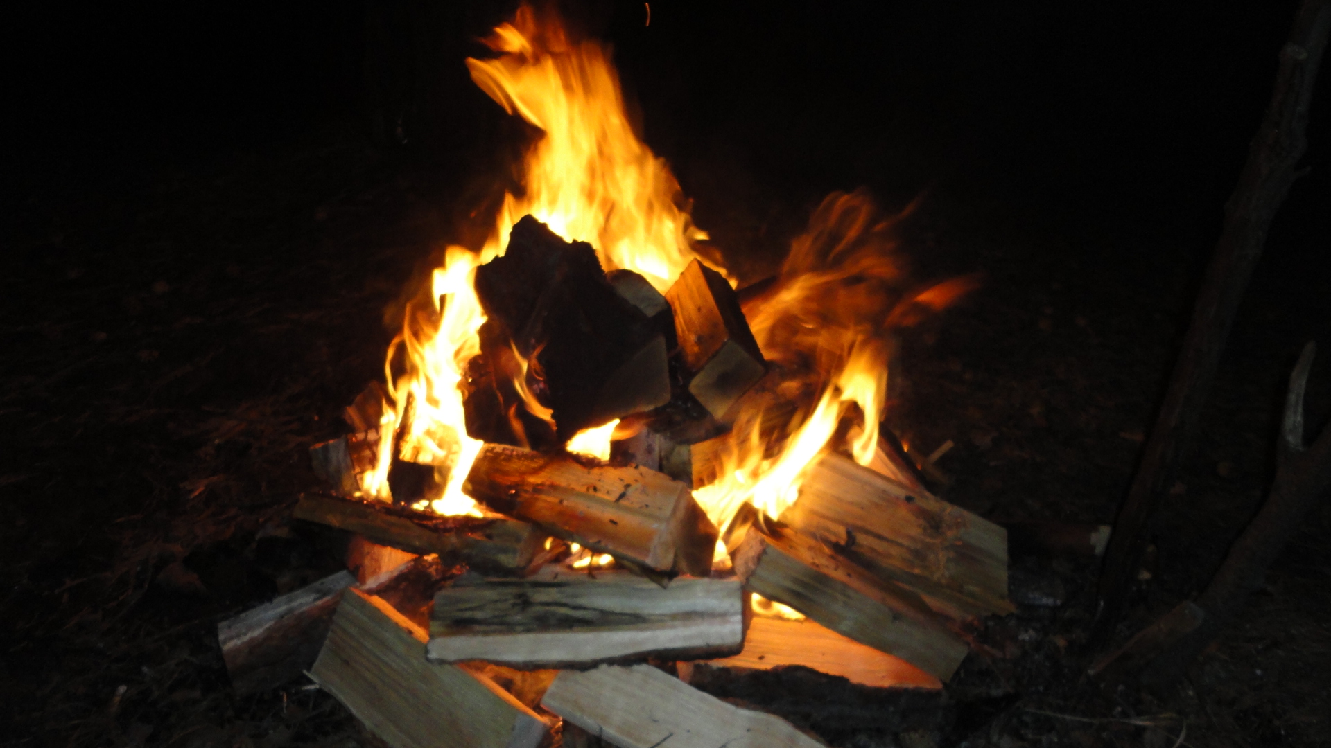 Закрытие сезона 14-15