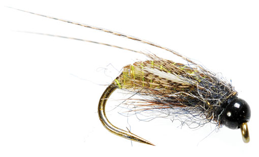 Новые нимфы