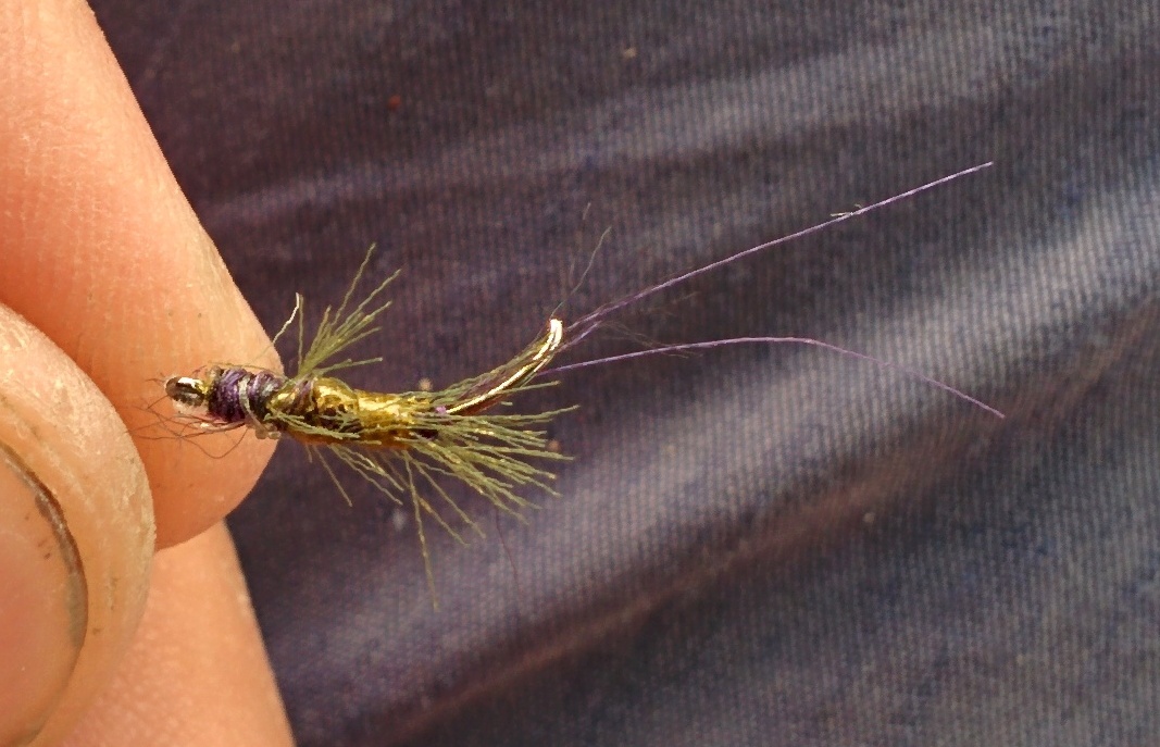 Байкальские мухи - Омулёвые