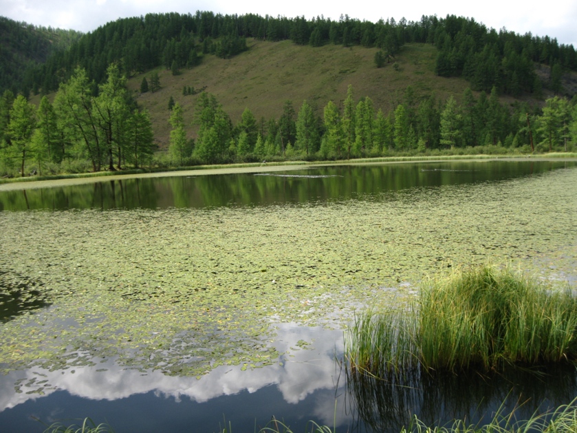 Ока Саянская . Бурятия