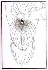 Tying with CDC, Hans Weilenmann