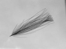 Tying with CDC, Hans Weilenmann