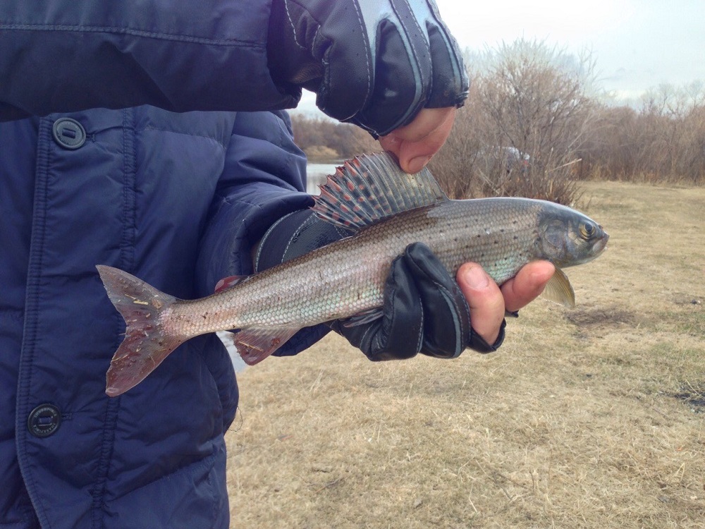 Речка Куда и ее притоки
