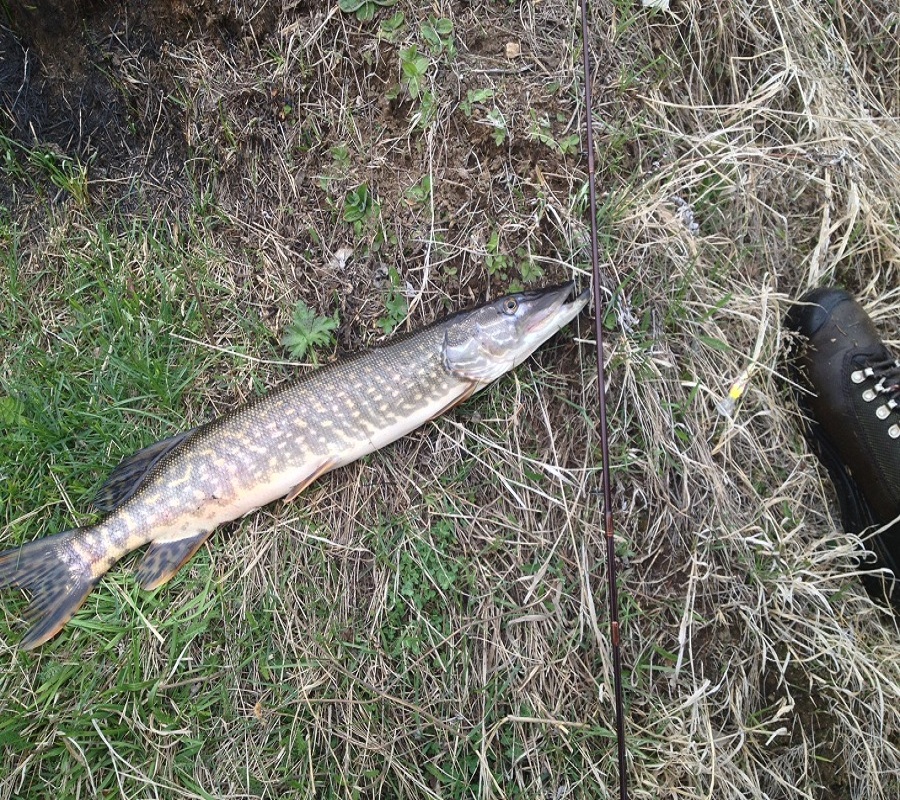 Re: Китой и его притоки.Сезон 2013