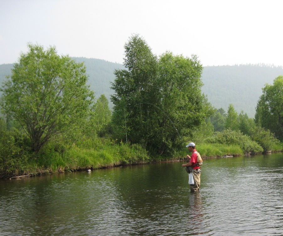 Голоустная