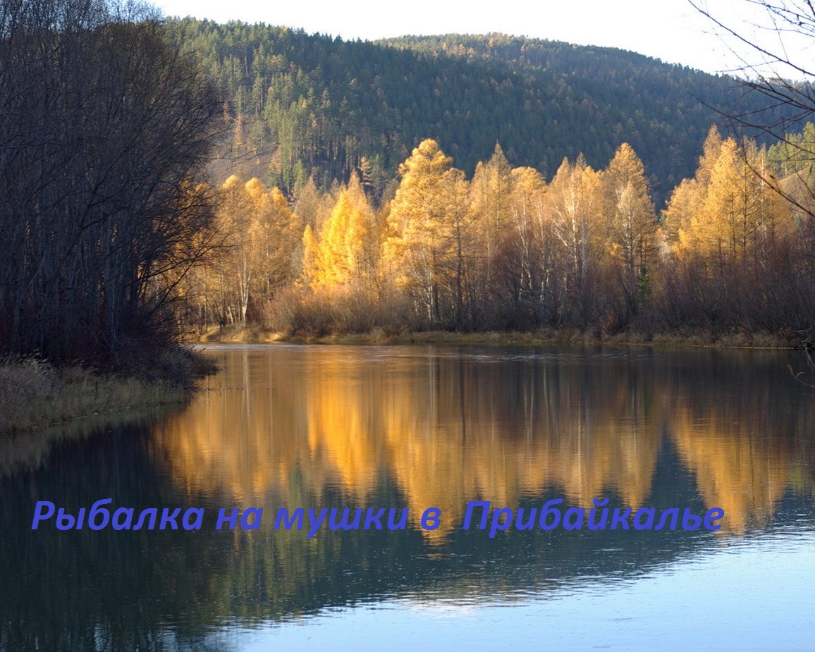 Новости магазина Перекат