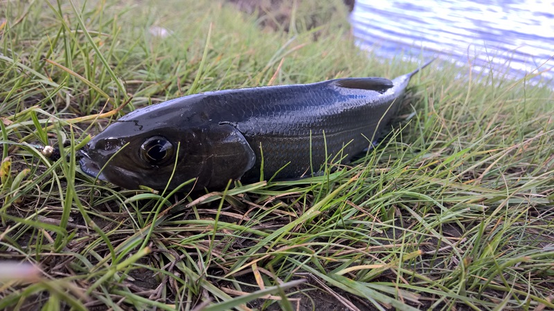 Хубсугул 2015