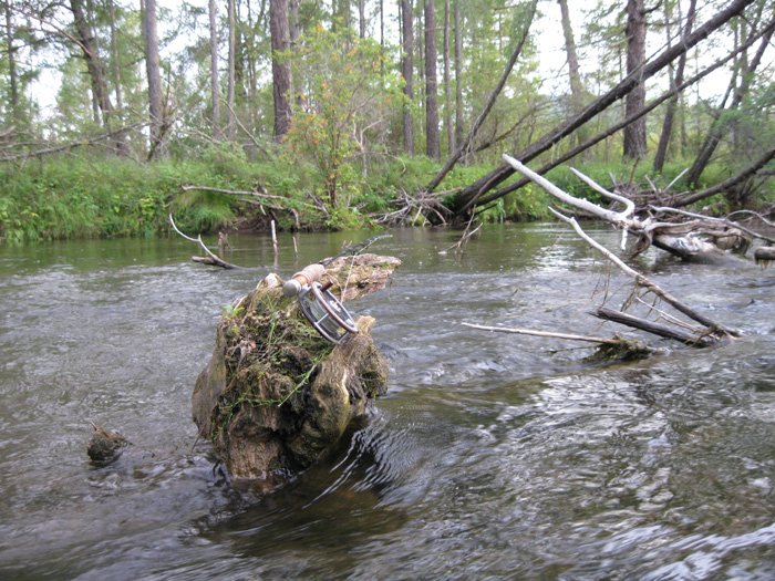 Речка Куда и ее притоки