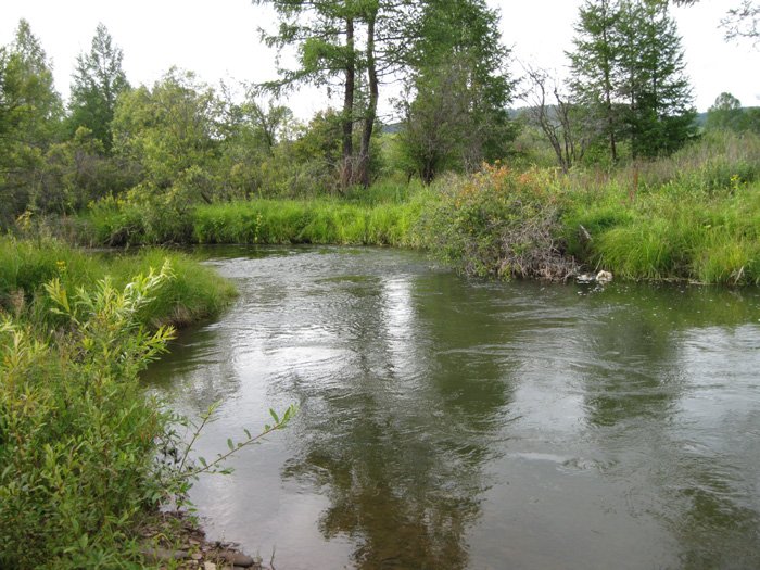 Речка Куда и ее притоки