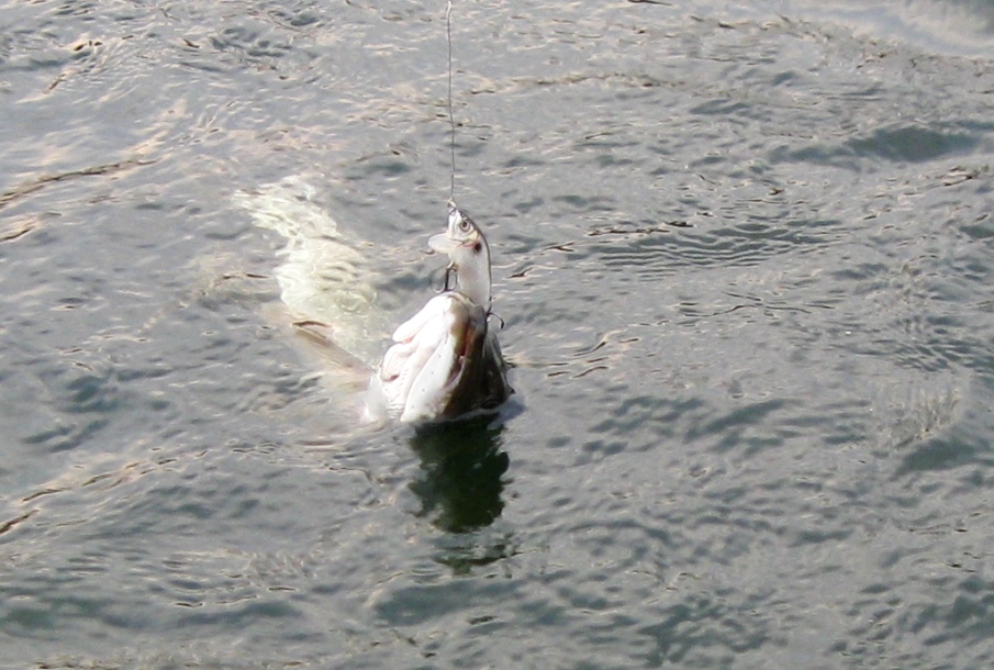 28-й км Байкальского тракта