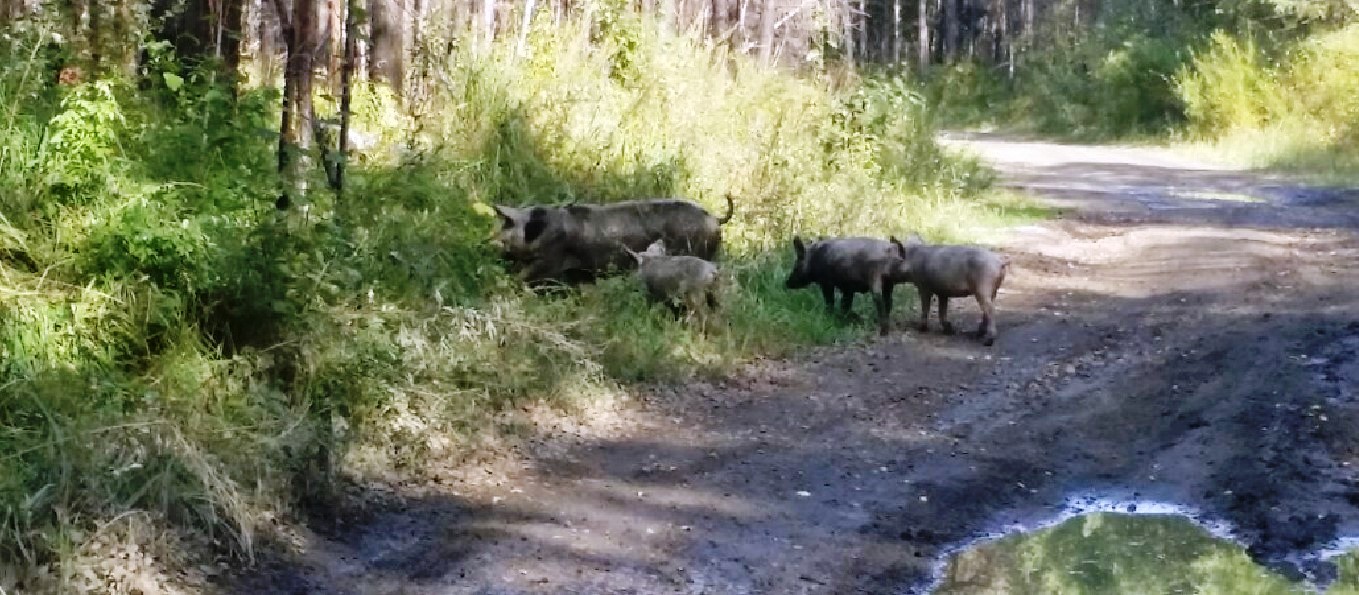 Куда поехать на рыбалку