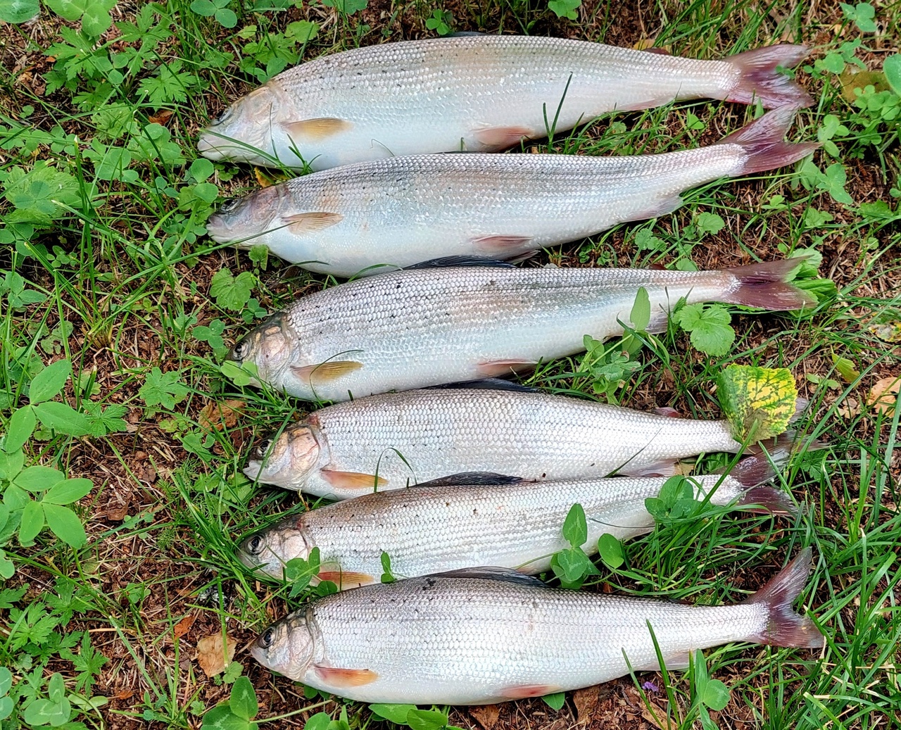 Иркутское море .Большая речка