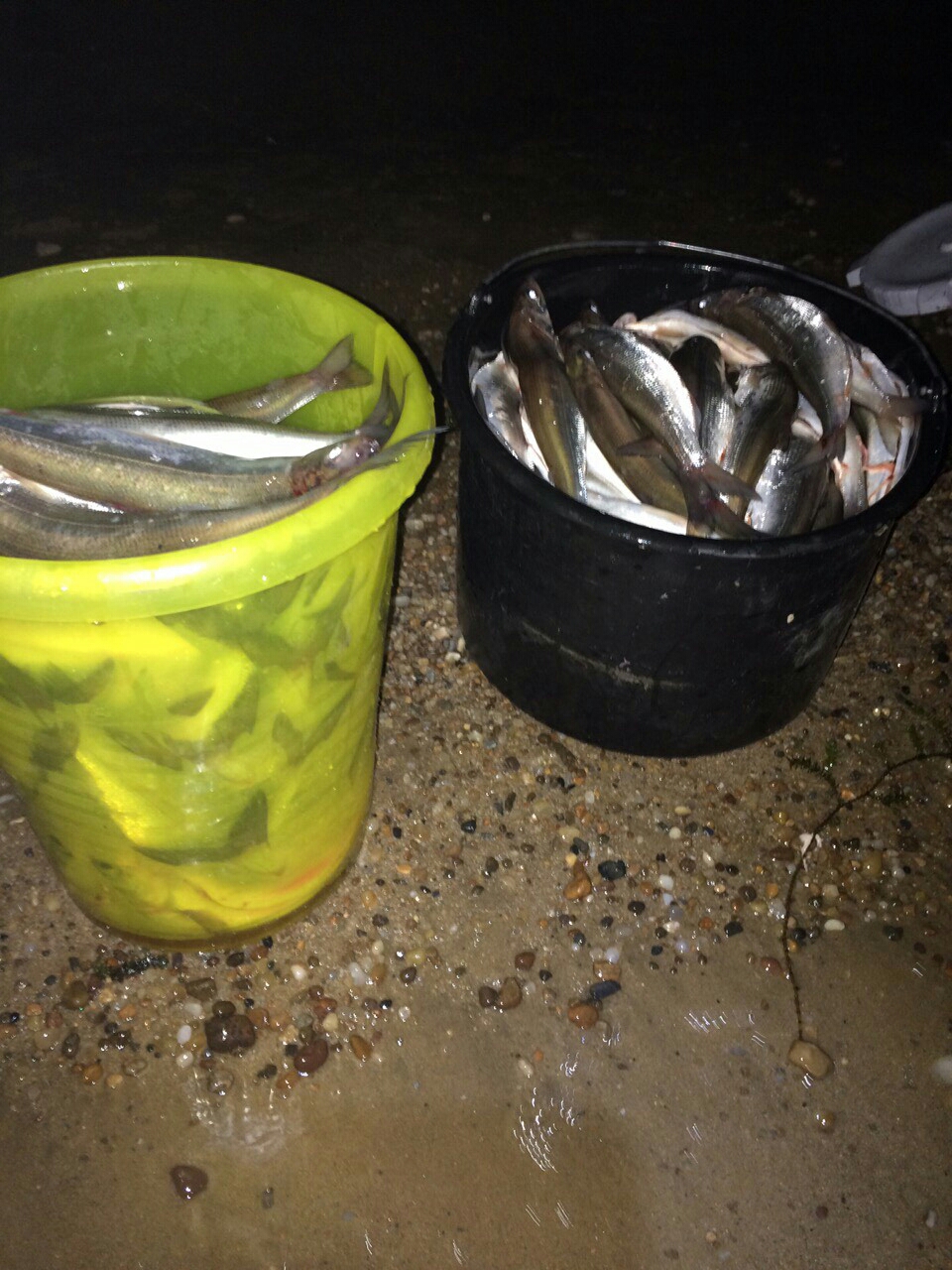 Рыбалка на омуля с лодки