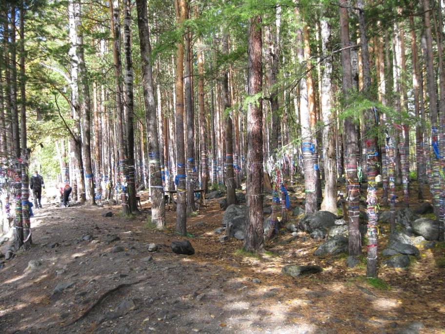 Ока -Боксон -Диби -Боксон -Ока -Сенца -Ока