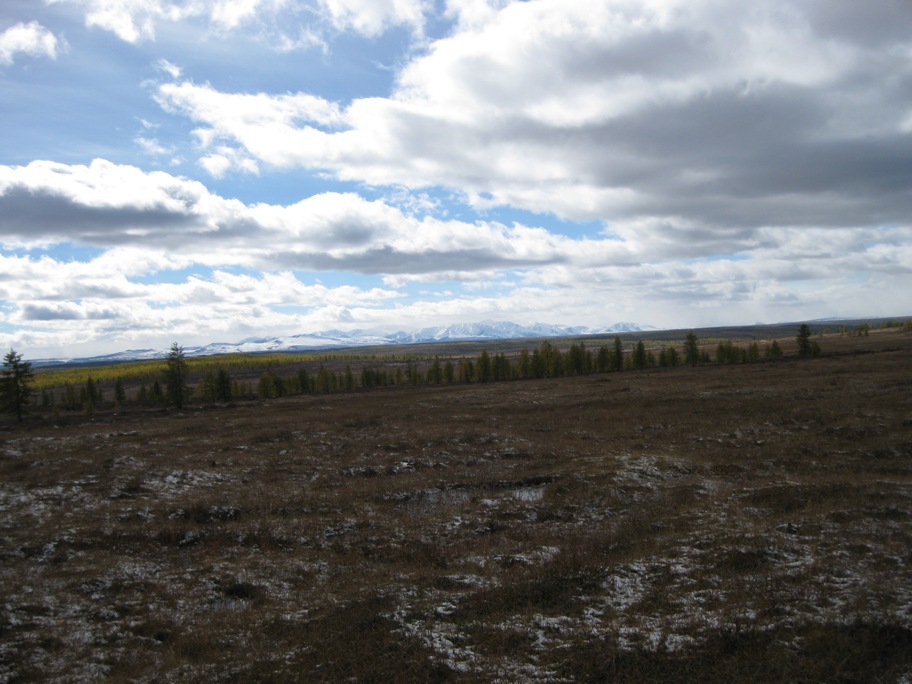 Ока -Боксон -Диби -Боксон -Ока -Сенца -Ока