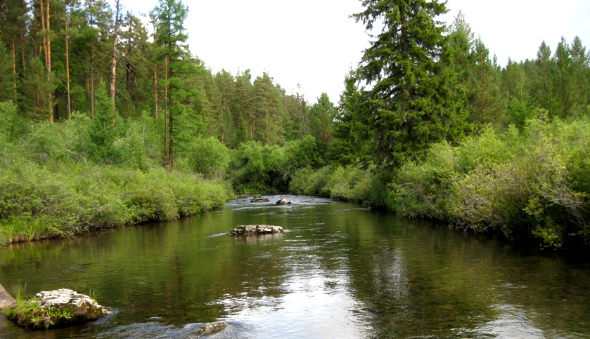 Другие речки 2014