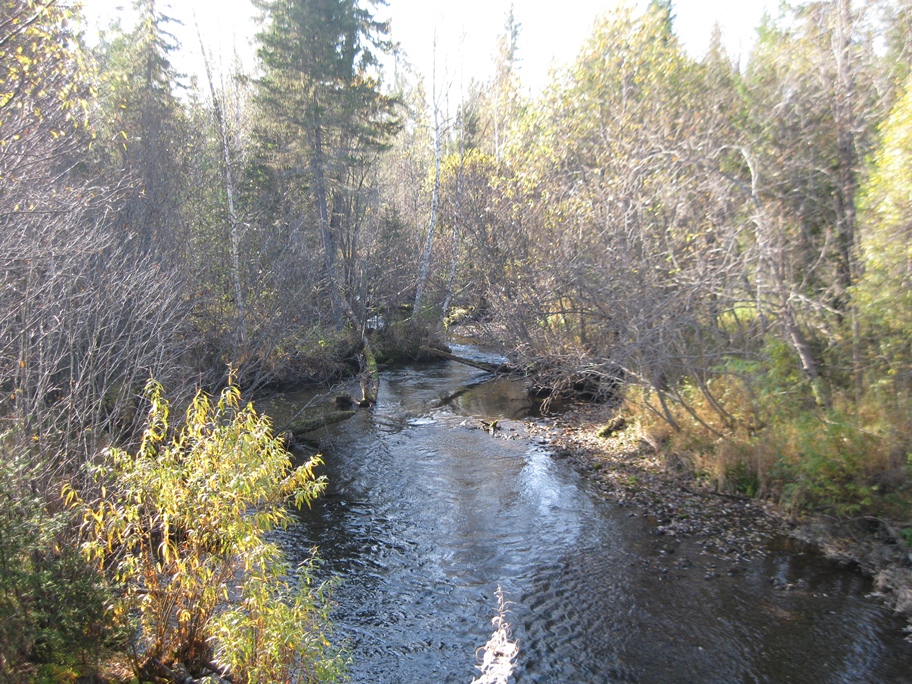 Таежные речки 2016