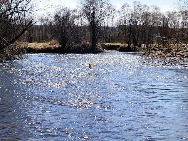 р.Ушаковка сезон 2013