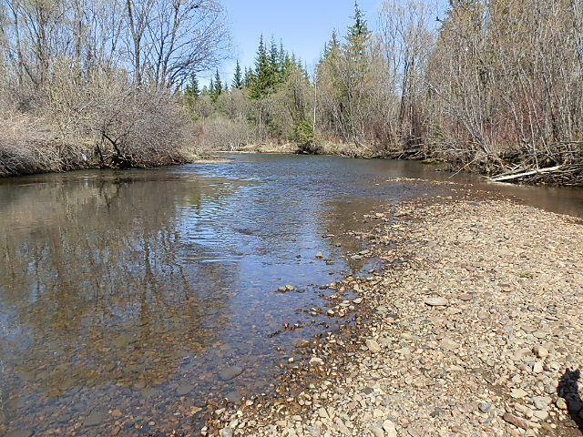 р.Ушаковка сезон 2013