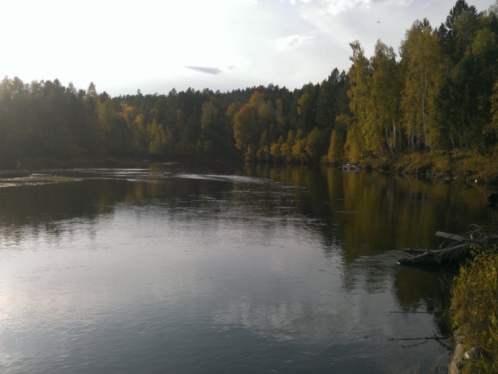 Китой и его притоки 2014