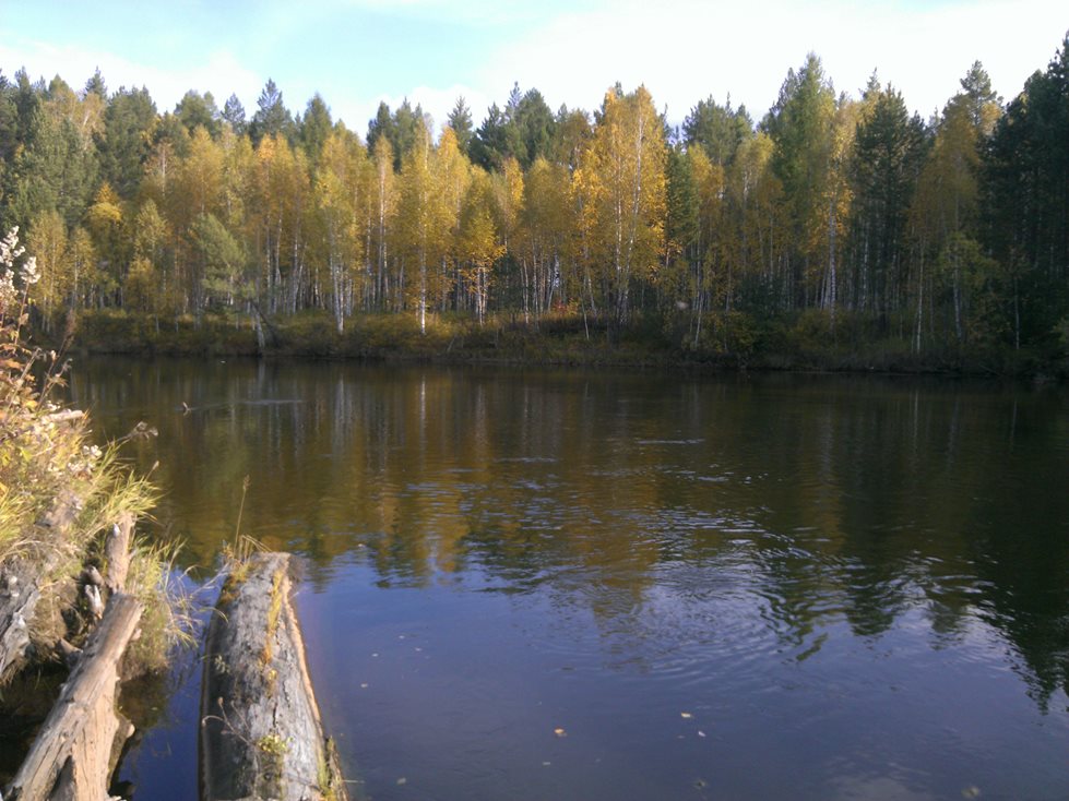 Китой и его притоки 2014