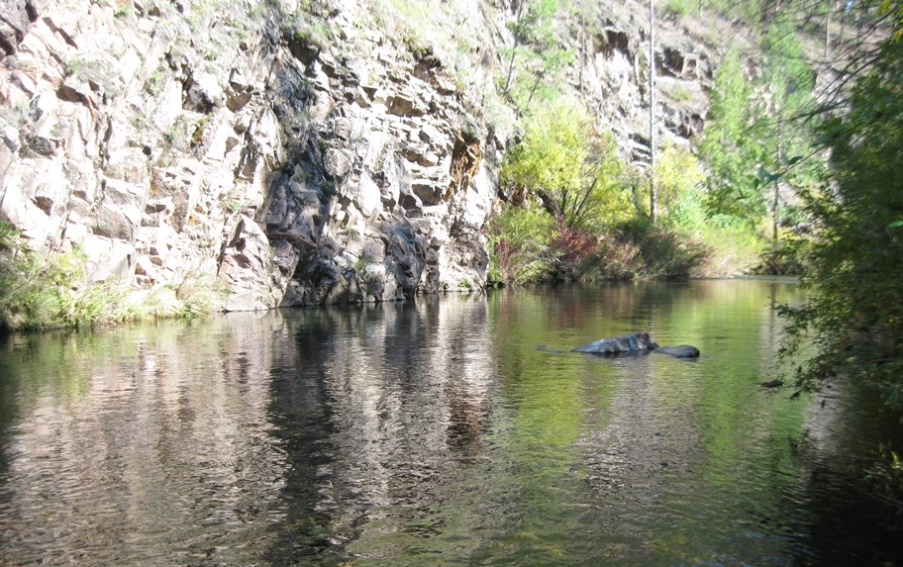 Таежные речки 2016