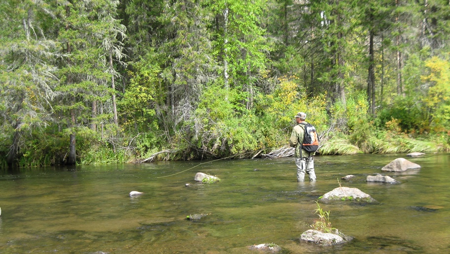 Таежные речки 2016