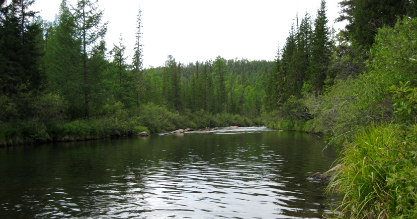 Другие речки 2014