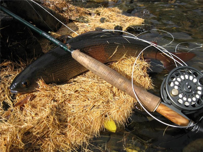 Снасти ,которыми мы ловим