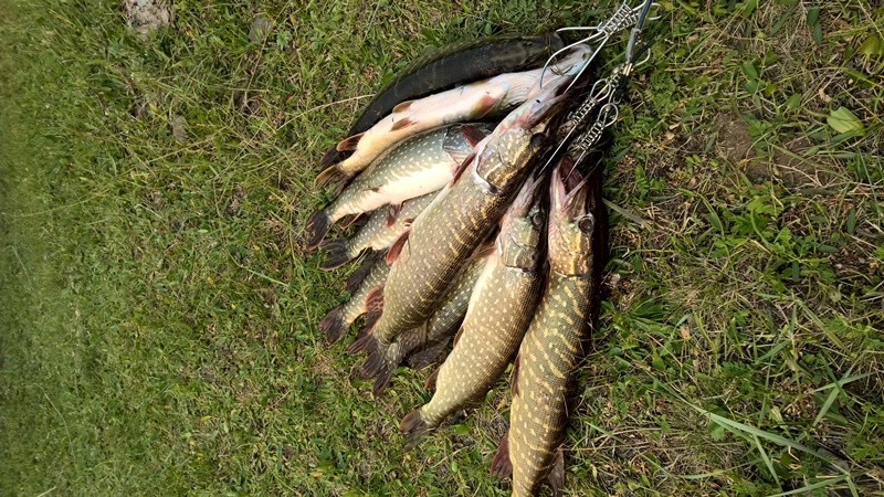 Байкал. Устье р. Анга