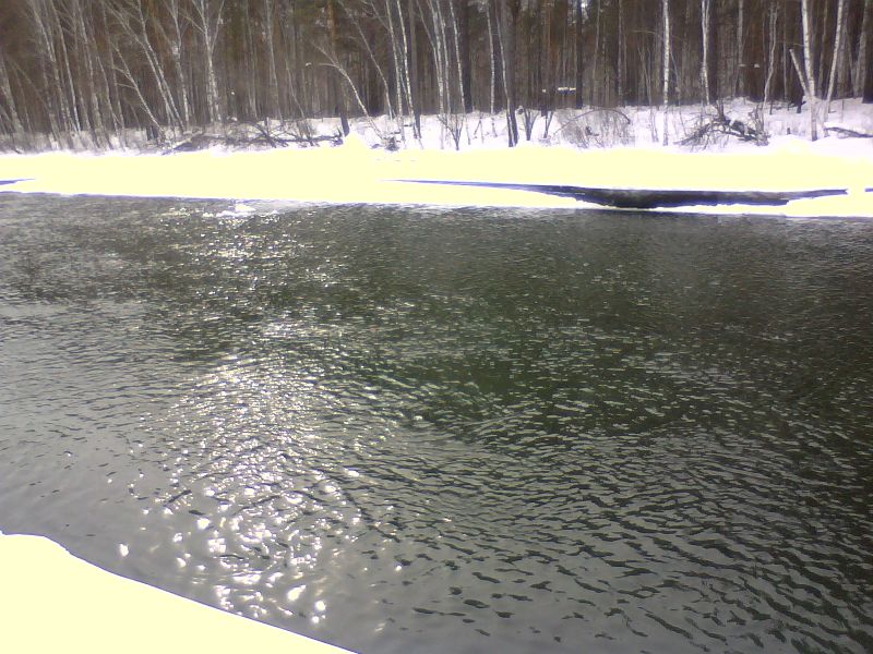 Белая и ее притоки