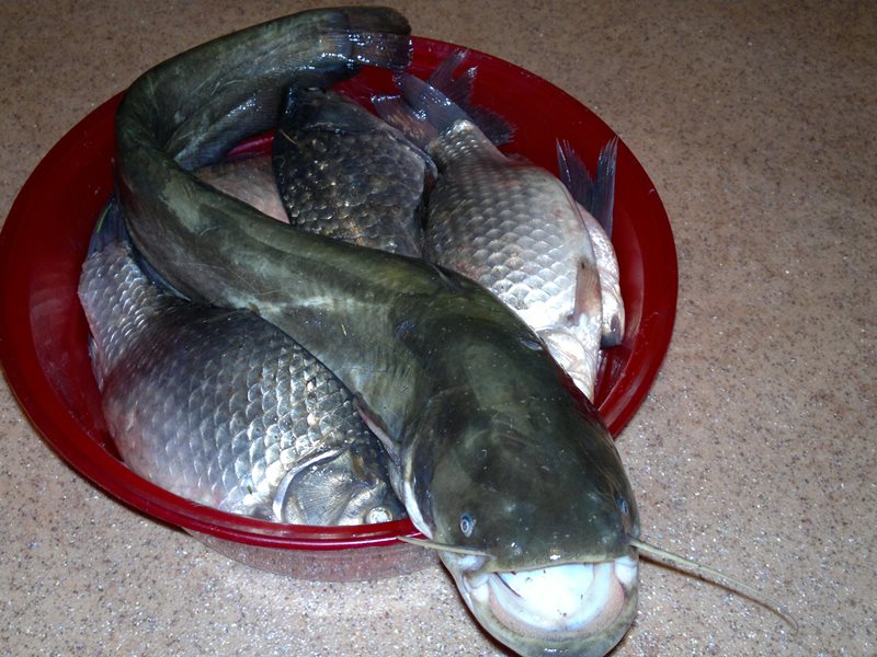 Братское водохранилище