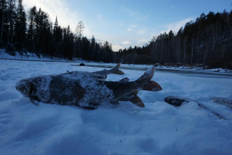 Малые речки